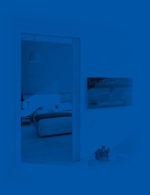 bluesuite